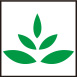 icon9